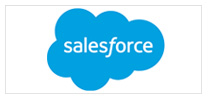 our partner Salesforce