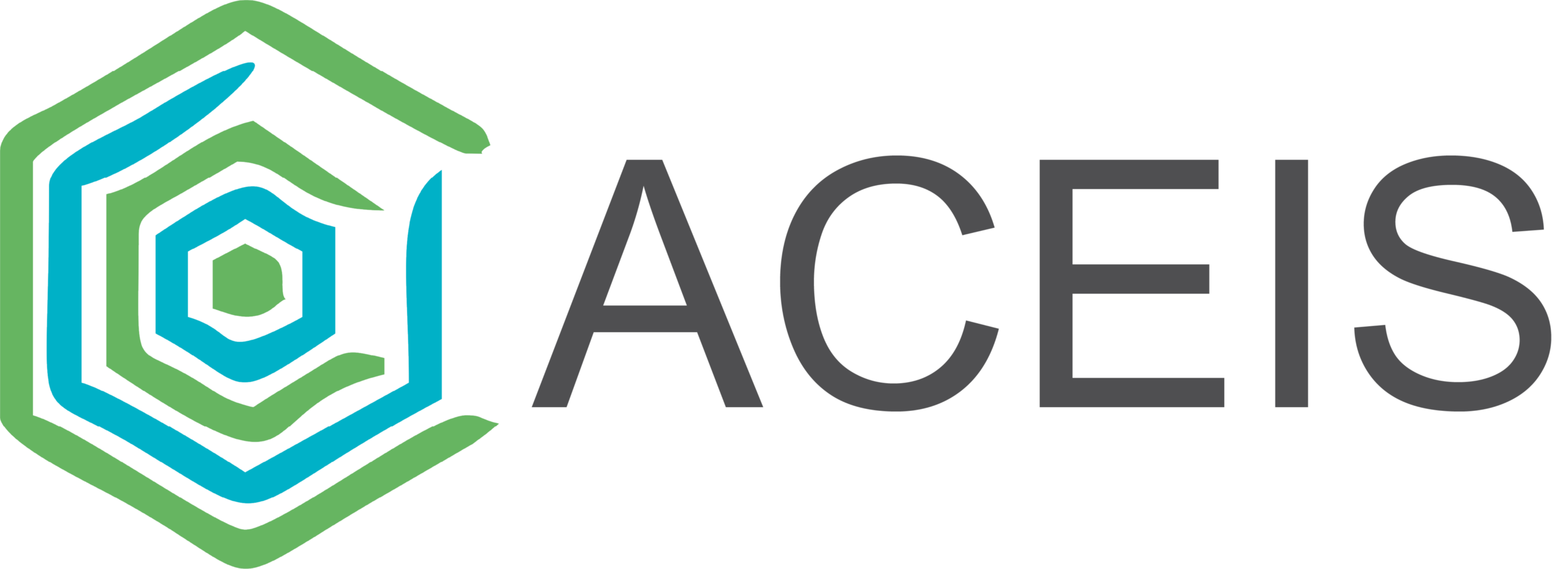 ACEIS Logo Black (2)
